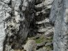 02-IMG-20260421-WA0017