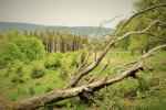 Kalużny, Ropice, Javorowy 22.05.2022