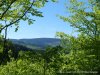 IMG-20240514-WA0052
