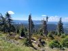 IMG-20240528-WA0035