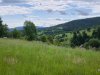 IMG-20250610-WA0003