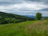 IMG-20250610-WA0005