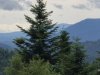 IMG-20250610-WA0017
