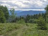 IMG-20250610-WA0049