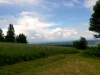 WP_20150621_013