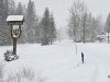 IMG-20250113-WA0001