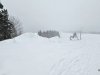 IMG-20250113-WA0012