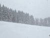 IMG-20250113-WA0024