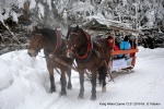 Kulig, Wisła Czarne 12.01.2019
