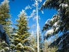_MG_2891