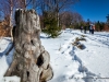 _MG_2980