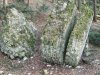 1-IMG-20260315-WA0045-001