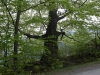SAM_5689