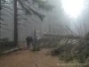 SAM_5723