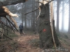 SAM_5724