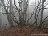 SAM_5736