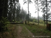 SAM_5763