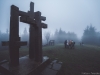 _W8A6801