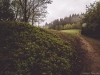 _W8A6843