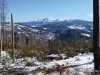 IMG-20220315-WA0006