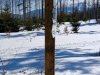 IMG-20220315-WA0009