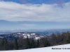 IMG-20220315-WA0013