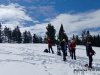 IMG-20220315-WA0017