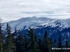 IMG-20220315-WA0019