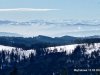 IMG-20220315-WA0020