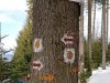 IMG-20220315-WA0022