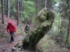 SAM_5779