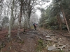 SAM_5811