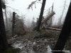 SAM_5815