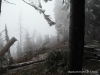 SAM_5816