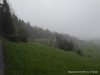 SAM_5825