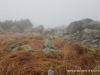 IMG-20181021-WA0005