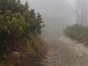 IMG-20181021-WA0007