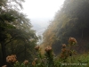 DSCN0030