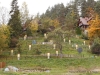 DSCN0080