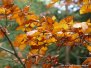 Pilsko 16.10.2022