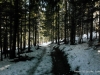 SAM_4985