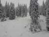 IMG-20230427-WA0001