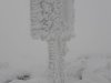IMG-20230427-WA0004
