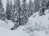 IMG-20230427-WA0009