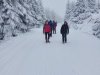 IMG-20230427-WA0010
