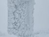 IMG-20230427-WA0011