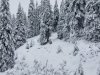 IMG-20230427-WA0013