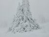 IMG-20230427-WA0015