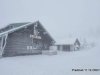 IMG-20230428-WA0008