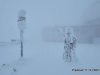 IMG-20230428-WA0013
